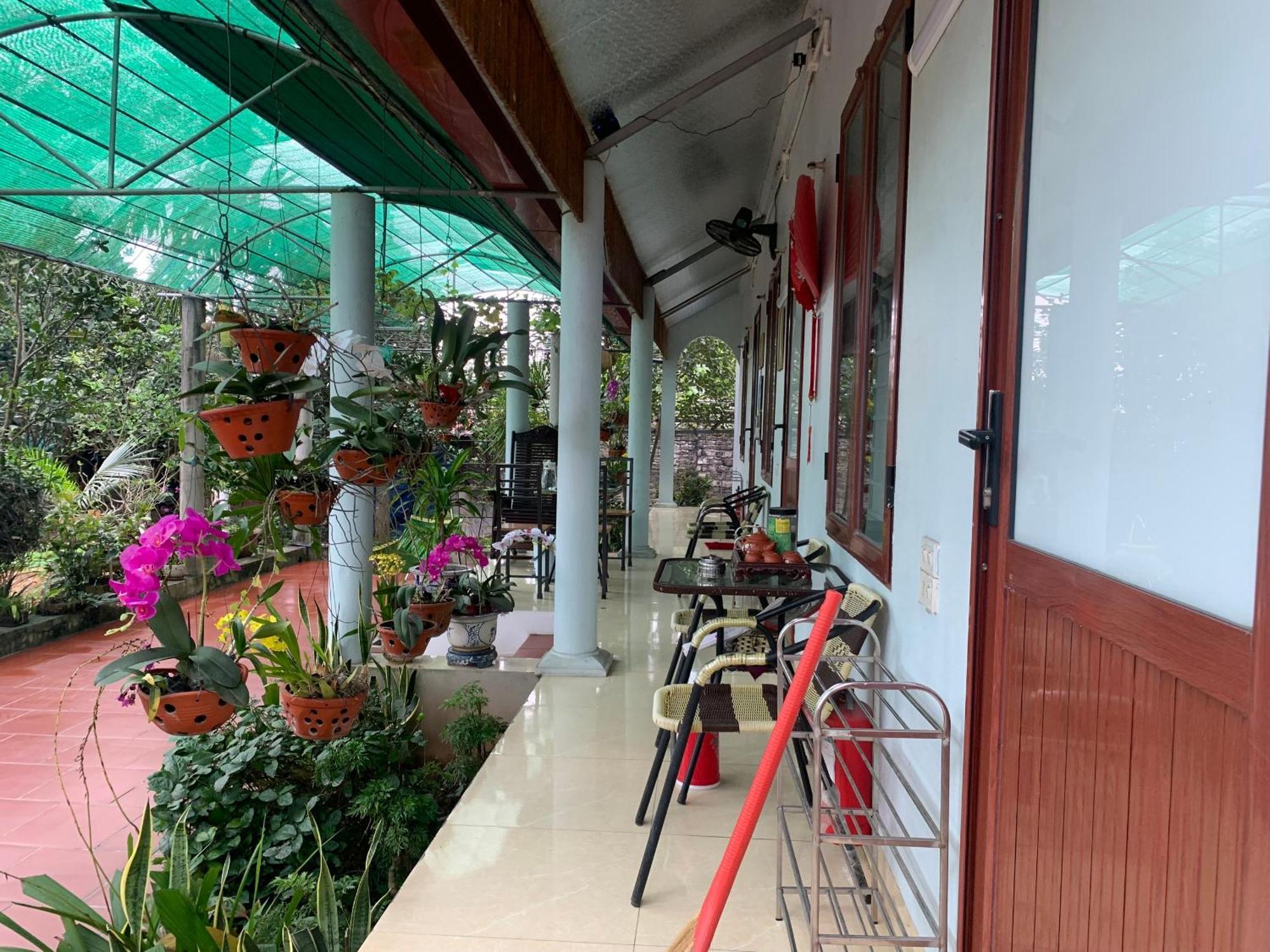 Tre Xanh Homestay Ninh Binh Eksteriør bilde