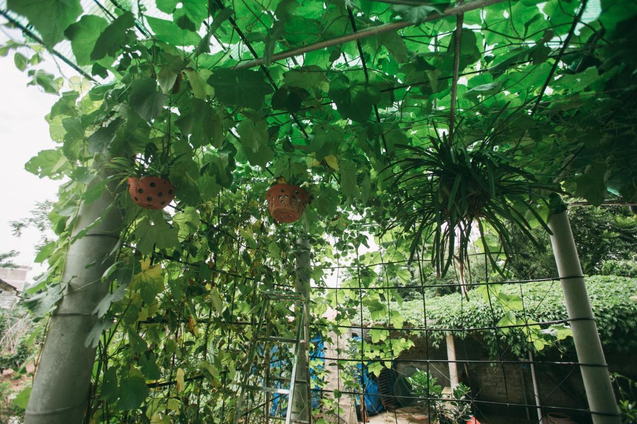 Tre Xanh Homestay Ninh Binh Eksteriør bilde